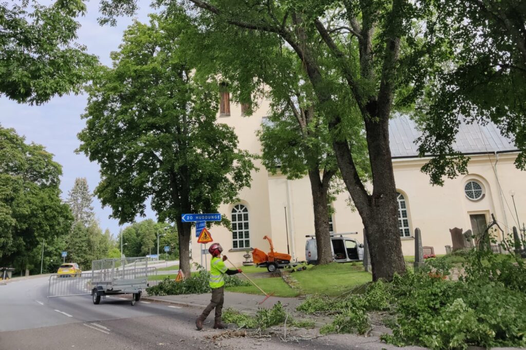 Trädbeskärning Uppsala avklippta grenar