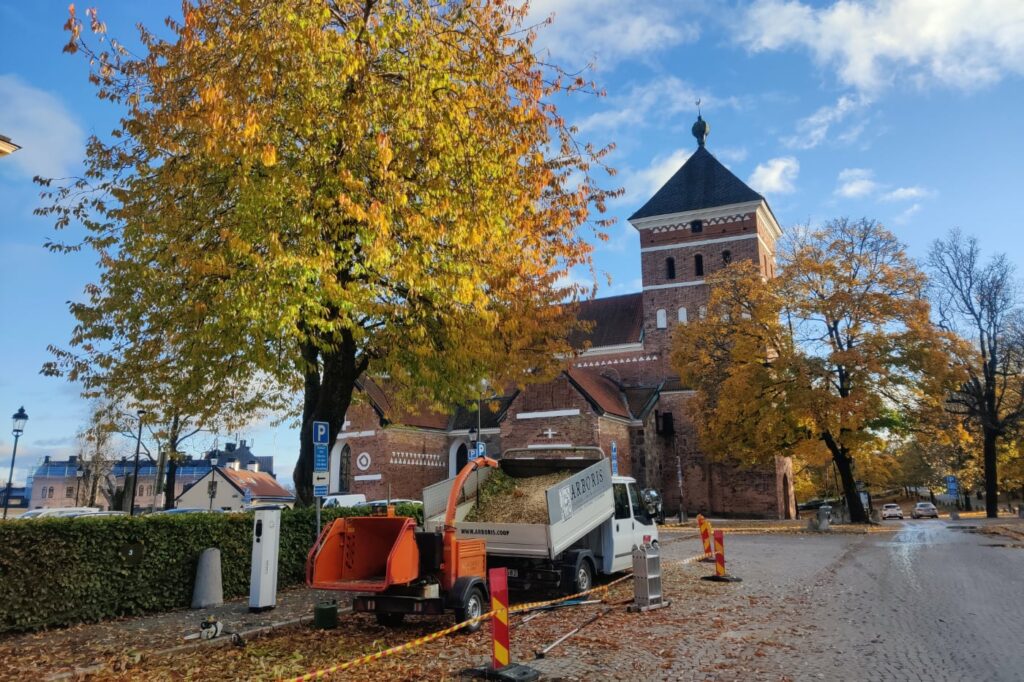 Stubbfräsning Uppsala vi fräser stubbar och tar hand om träd