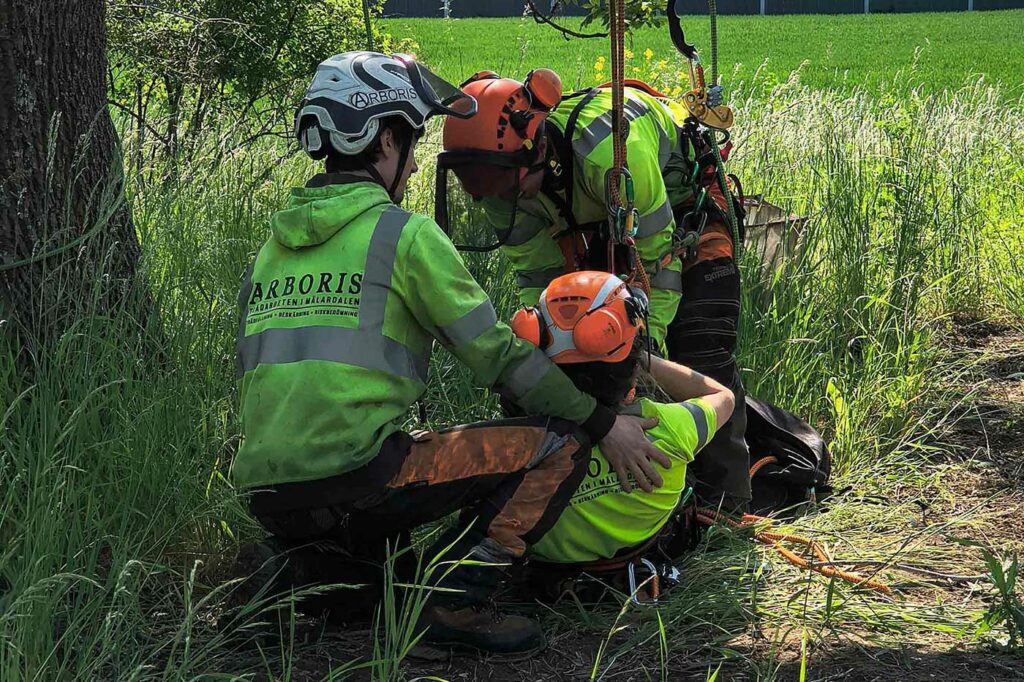 Kurser i trädrelaterade ämnen