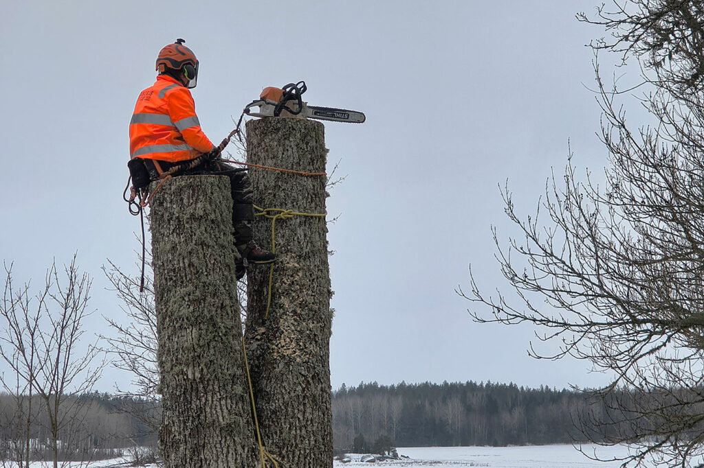 Stefan tar en paus i arbetet.
