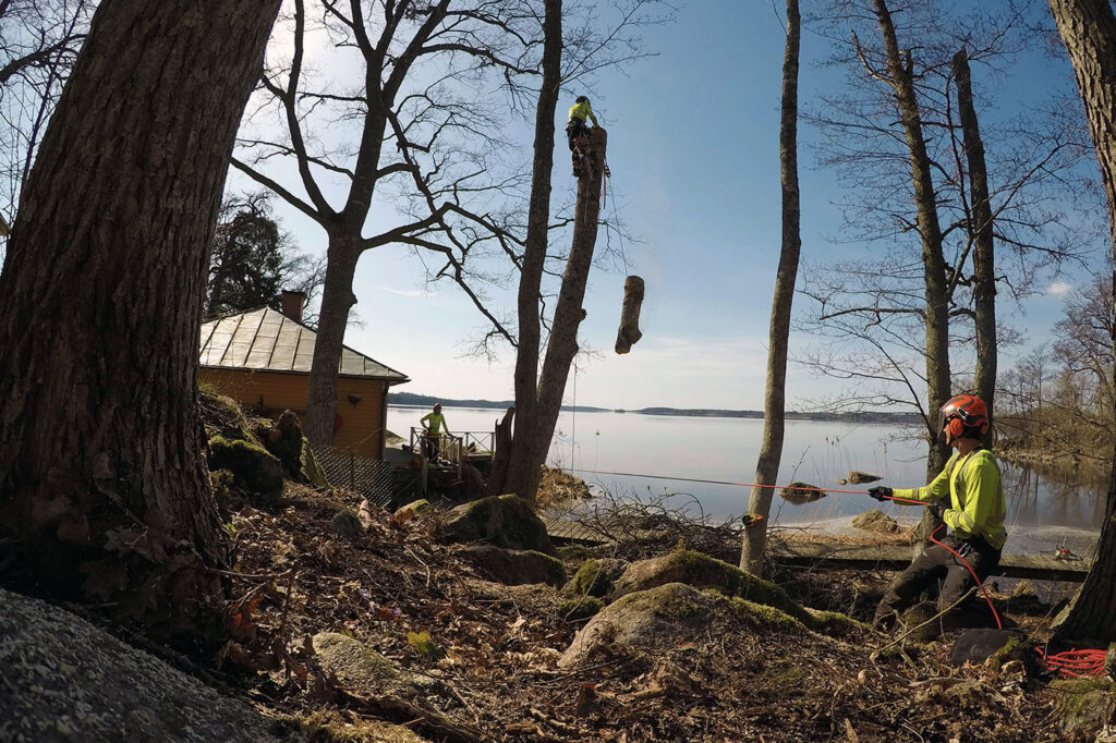 Nedfirning av stamdel